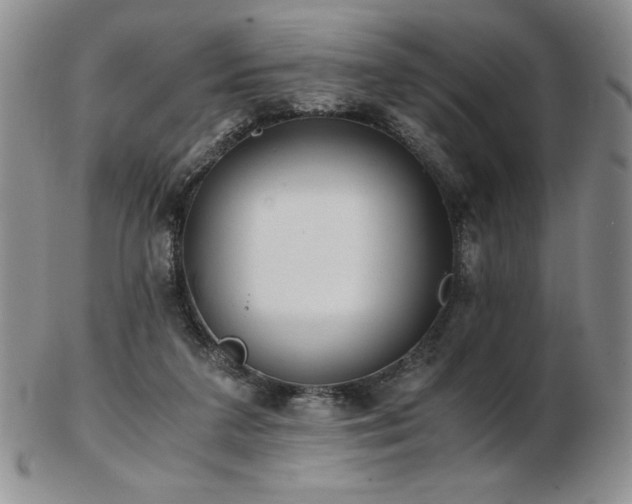 X0000103130211200808221201