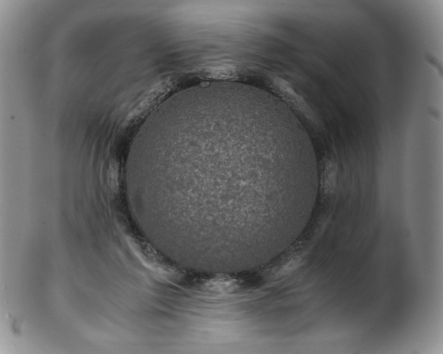 X0000103130213200808221201
