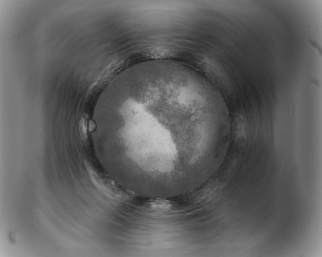 X0000103130214200808221201