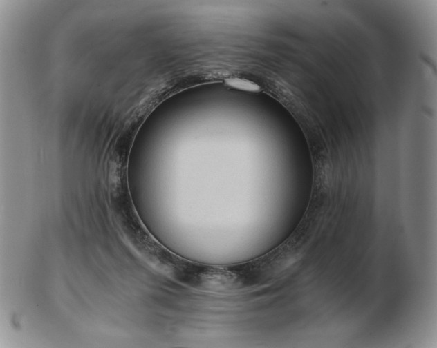 X0000103130215200808221201