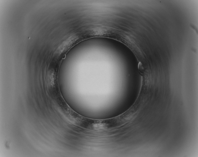 X0000103130216200808221201