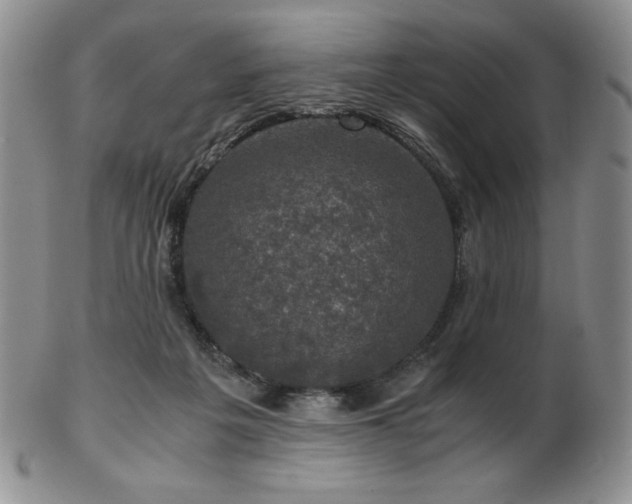 X0000103130217200808221201