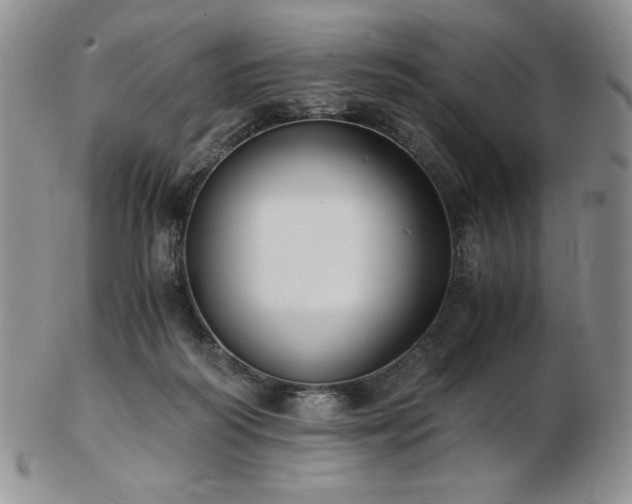 X0000103130218200808221201