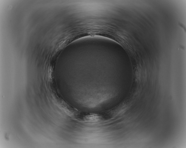 X0000103130219200808221201