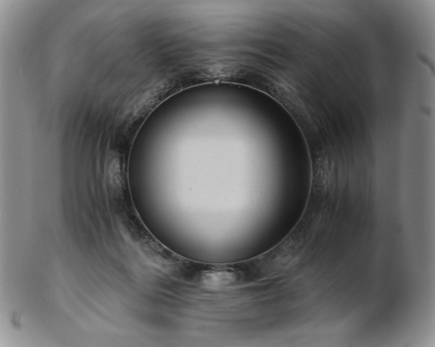 X0000103130220200808221201