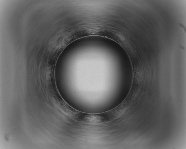 X0000103130221200808221201