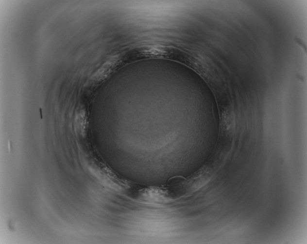 X0000103130223200808221201