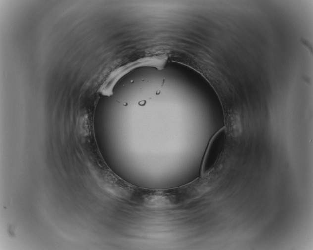 X0000103130224200808221201