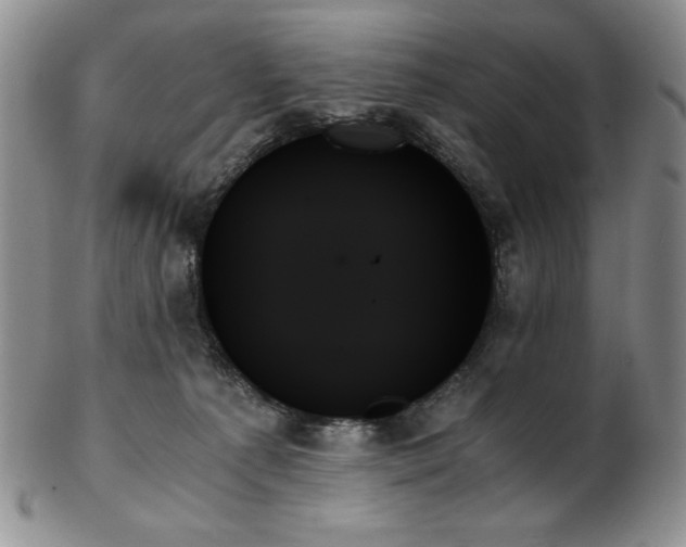 X0000103130225200808221201
