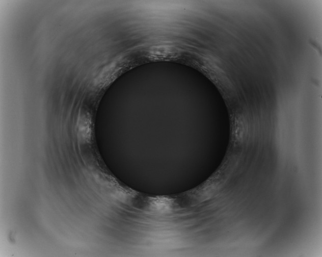 X0000103130226200808221201