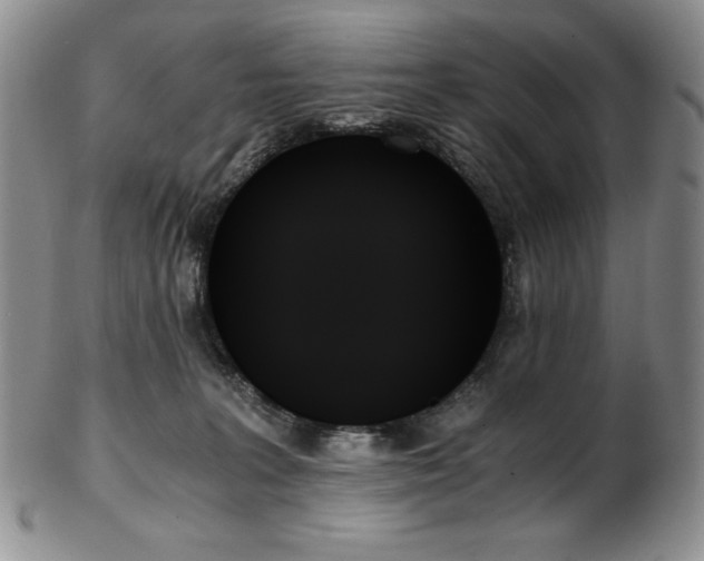 X0000103130227200808221201