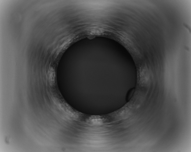 X0000103130228200808221201