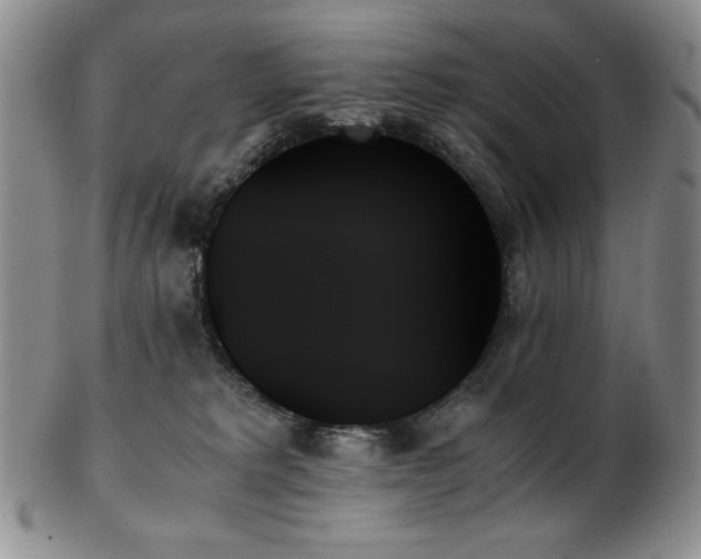 X0000103130229200808221201