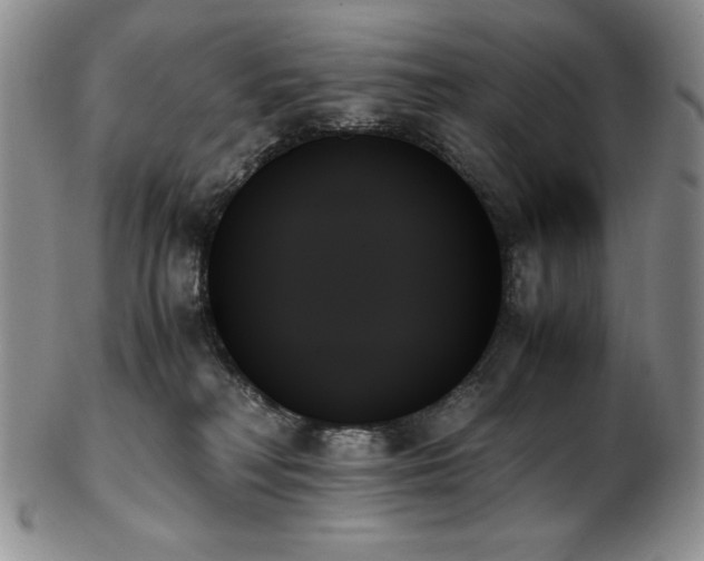X0000103130230200808221201