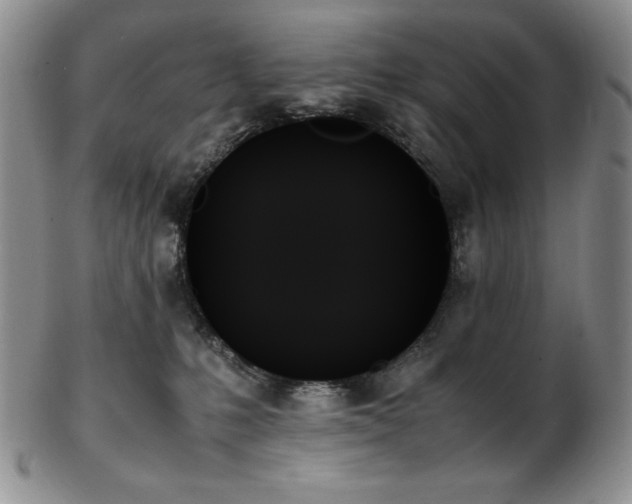 X0000103130231200808221201