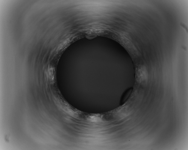 X0000103130232200808221201