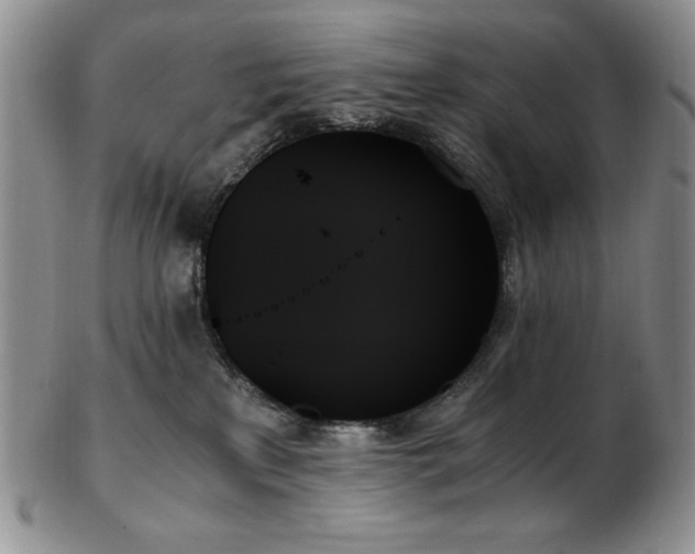 X0000103130233200808221201