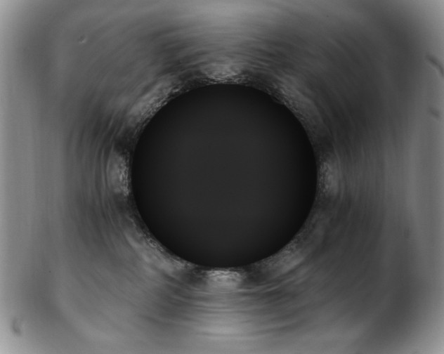 X0000103130234200808221201