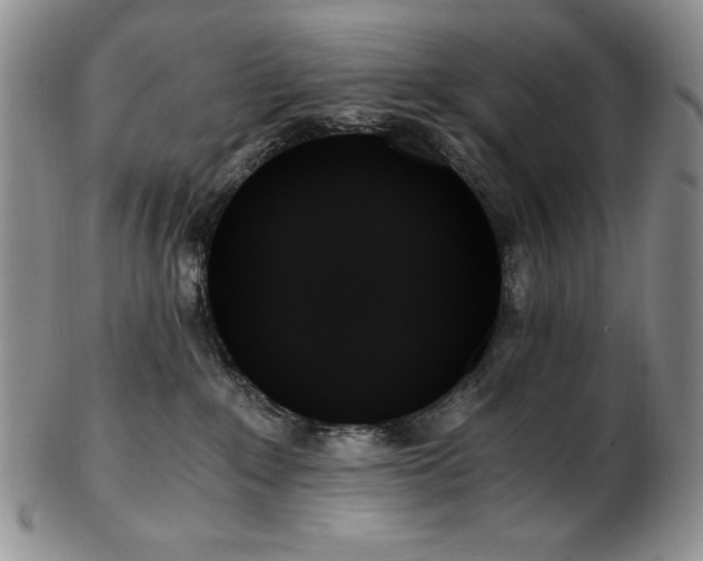 X0000103130235200808221201