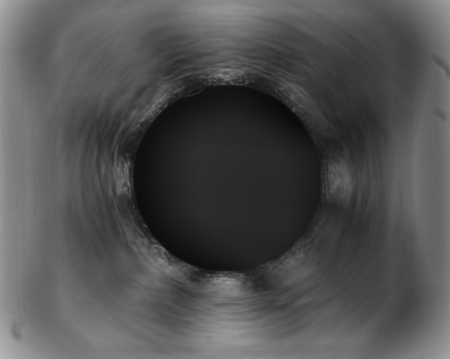 X0000103130236200808221201