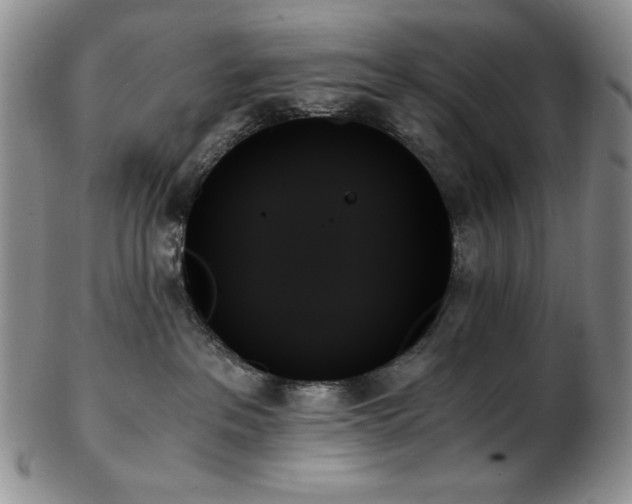 X0000103130237200808221201