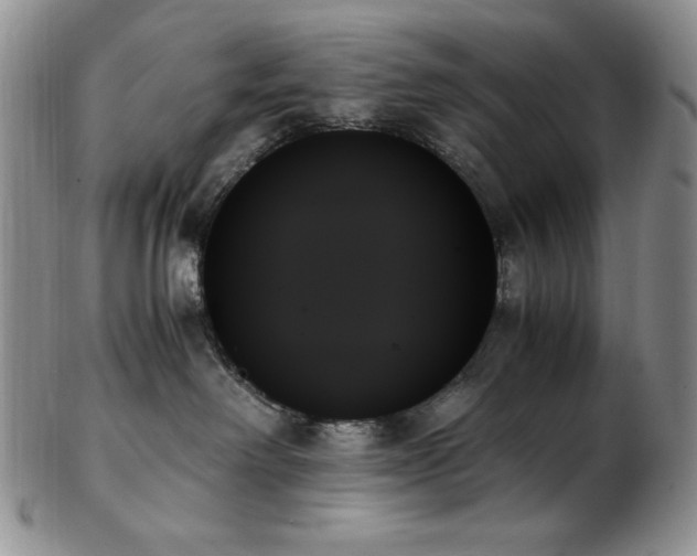 X0000103130238200808221201