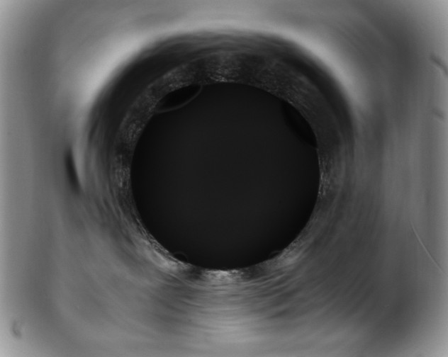 X0000103130239200808221201