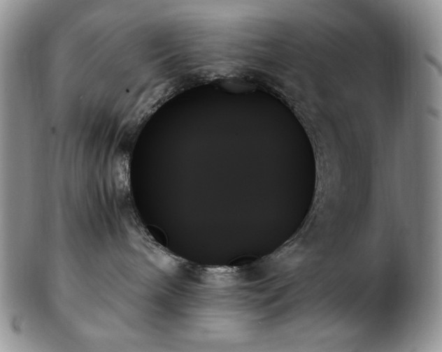 X0000103130240200808221201