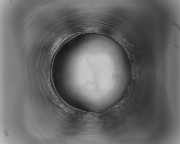 X0000103130241200808221200