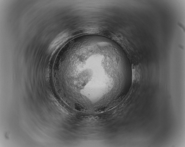 X0000103130243200808221200