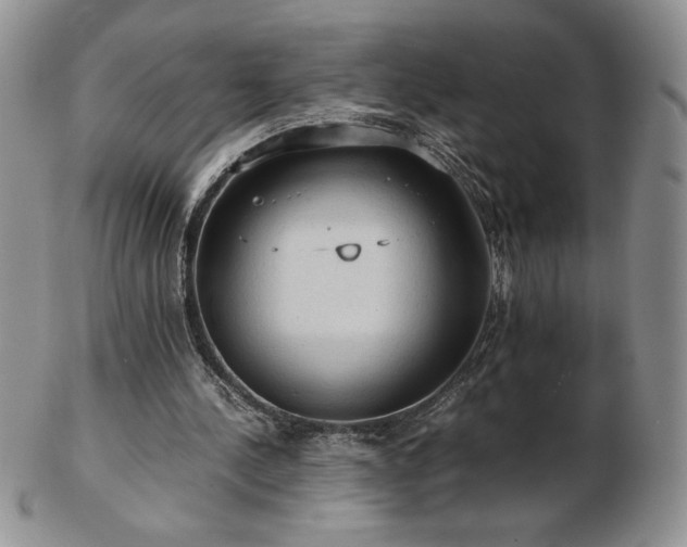 X0000103130244200808221200