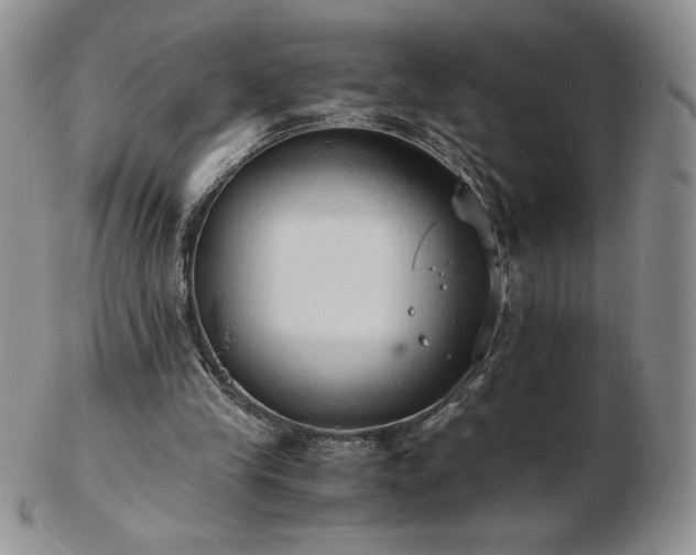 X0000103130245200808221200