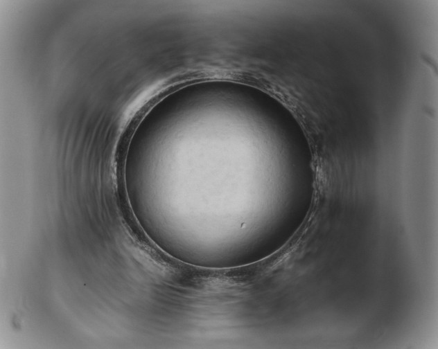 X0000103130246200808221200