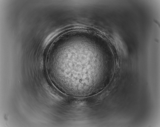 X0000103130247200808221200