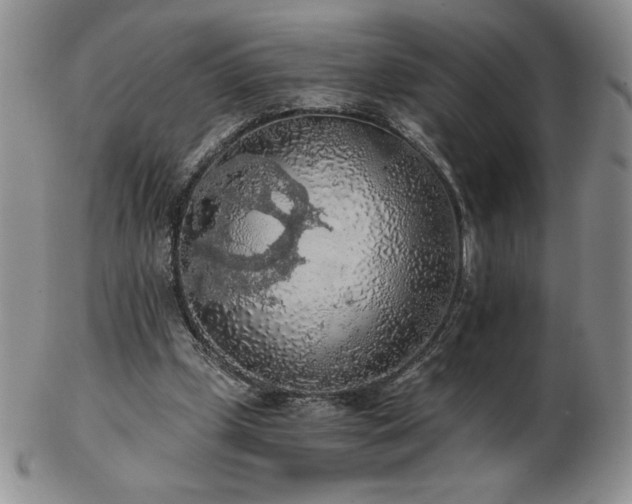X0000103130249200808221200