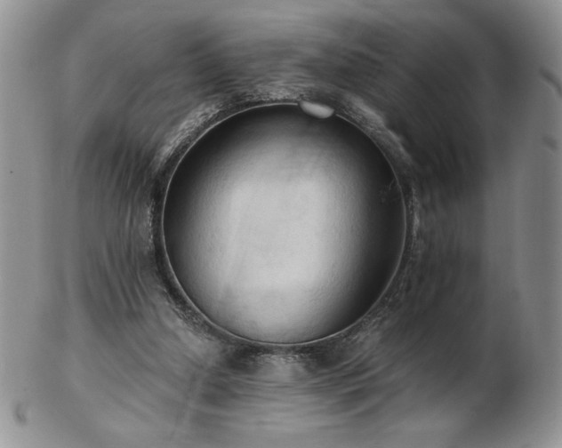 X0000103130250200808221200