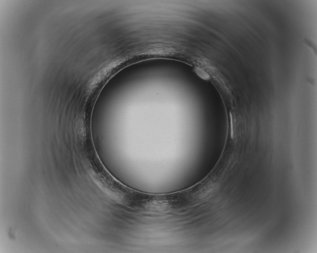 X0000103130252200808221200