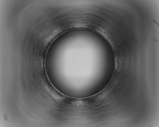 X0000103130253200808221200