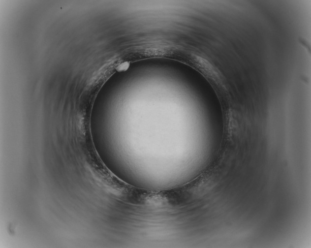 X0000103130258200808221200
