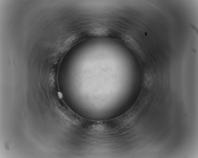 X0000103130259200808221200