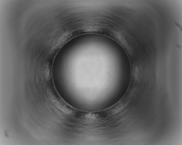 X0000103130261200808221200