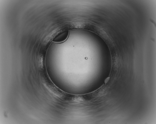 X0000103130262200808221200