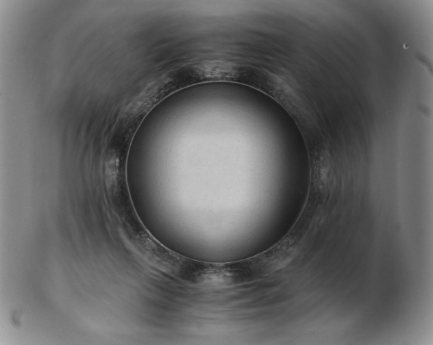 X0000103130263200808221200
