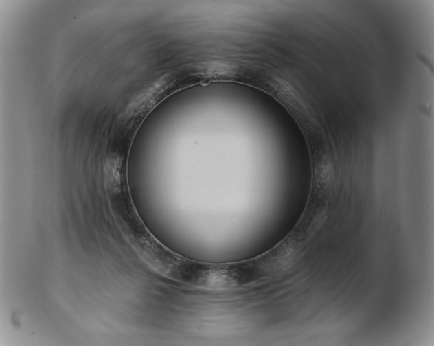 X0000103130264200808221200