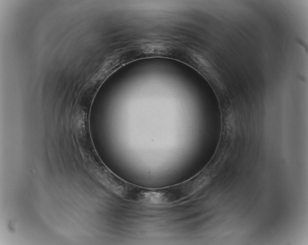 X0000103130265200808221200