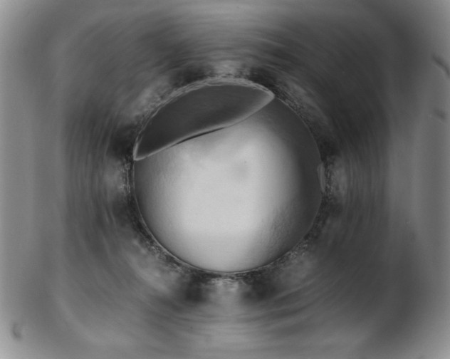 X0000103130272200808221200