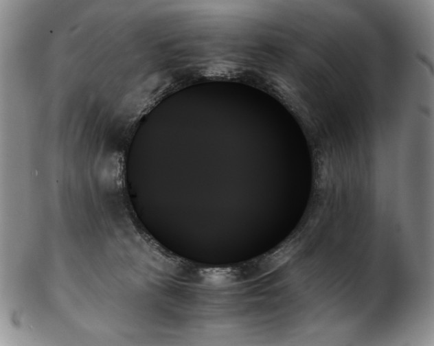 X0000103130273200808221200