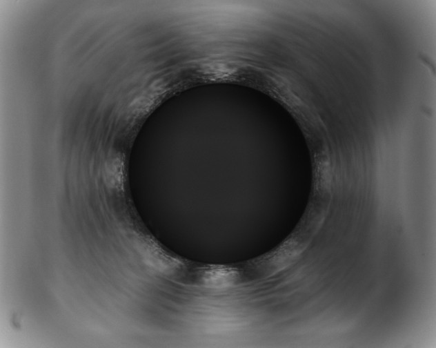 X0000103130274200808221200