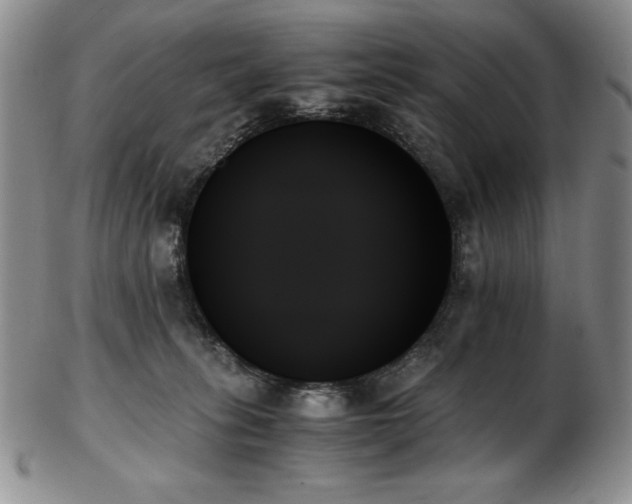 X0000103130275200808221200