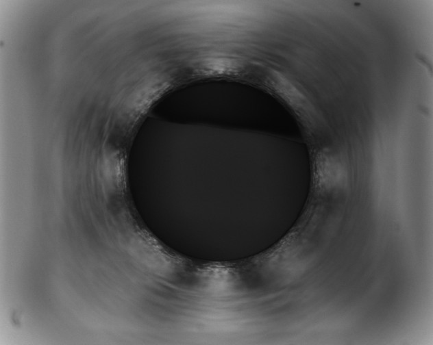 X0000103130276200808221200